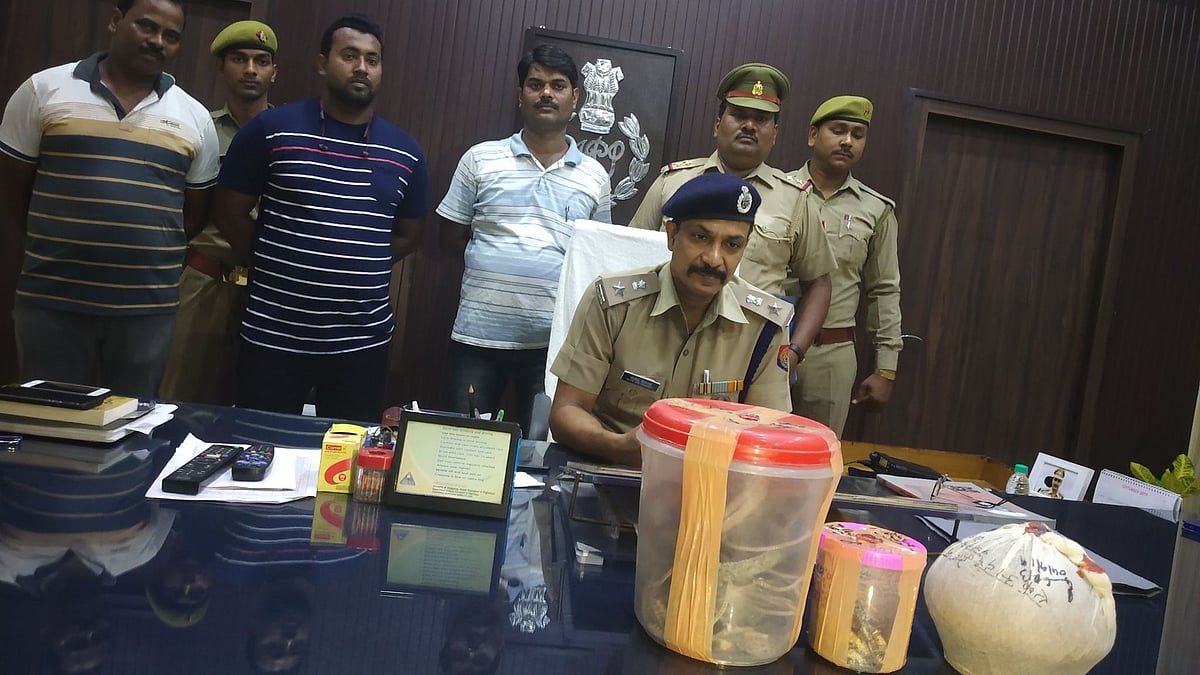 வீடு கட்ட தோண்டிய குழியில் புதையல்... அரசிடமிருந்து மறைக்க நினைத்து மாட்டிக்கொண்ட உரிமையாளர்!
