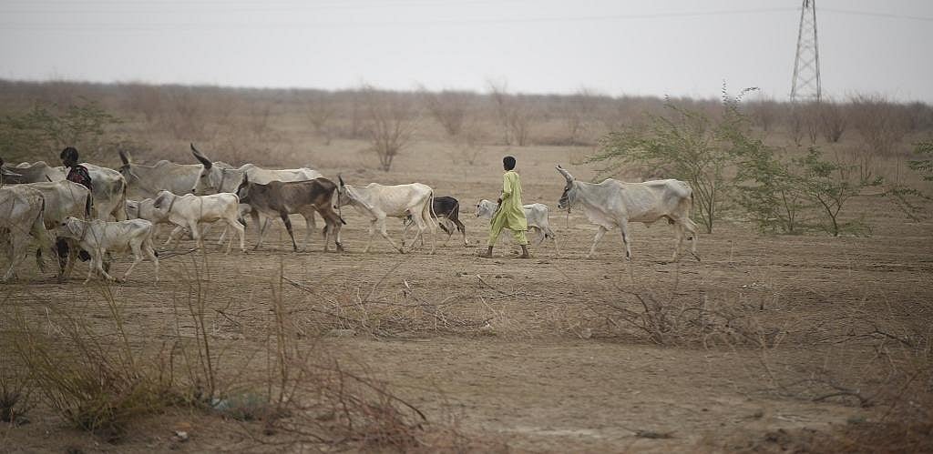 சொன்னது  21 மில்லியன் ஹெக்டேர், நிறைவேற்றியது 0.8 ஹெக்டேர்: மோடி அரசின் வாய்ச்சவடால் அம்பலம்!