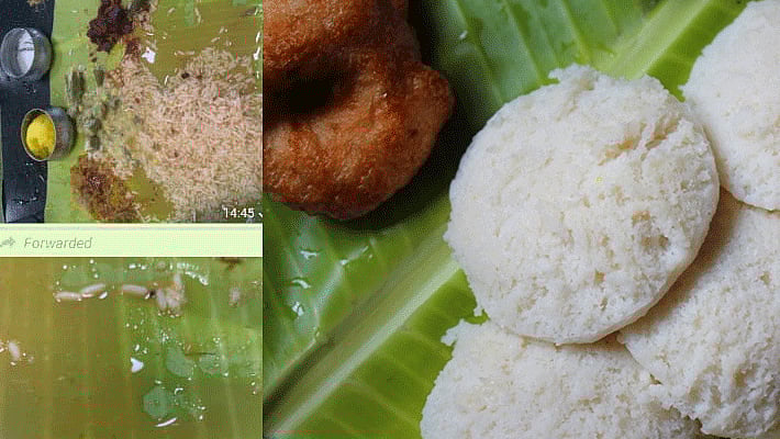சாப்பாட்டில் புழு: முருகன் இட்லி கடைக்கு சீல்!