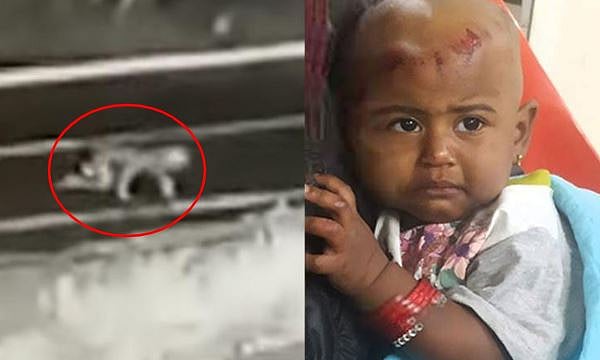 ஓடும் காரிலிருந்து தவறி விழுந்த குழந்தை - விழுந்தது கூட தெரியாமல் வீட்டுக்கு சென்ற குடும்பம் (வீடியோ)