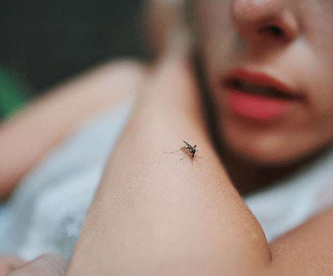 #LIVE தொடரும் டெங்கு உயிரிழப்புகள் : 4 வயது சிறுமி பலி : தமிழகத்தில் 3,400 பேருக்கு டெங்கு பாதிப்பு!