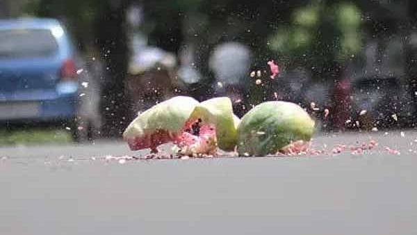 “சாலையில் பூசணிக்காய் உடைக்க தடை., மீறினால் நடவடிக்கை” : போக்குவரத்து போலிஸார் எச்சரிக்கை!