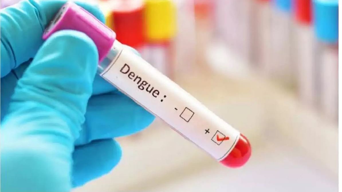 #LIVE தொடரும் டெங்கு உயிரிழப்புகள் : 4 வயது சிறுமி பலி : தமிழகத்தில் 3,400 பேருக்கு டெங்கு பாதிப்பு!