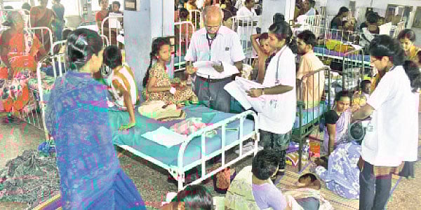 சென்னையில் 390 பேருக்கு டெங்கு பாதிப்பு : மாநகராட்சி அதிகாரி தகவல்!