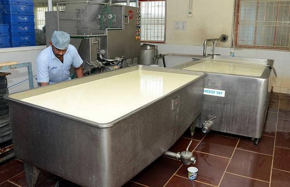 பாக்கெட் பாலில் பூச்சிக்கொல்லி மருந்து; 37.7% பால் தரமற்றவை - உணவு பாதுகாப்புத் துறை ஆய்வில் அதிர்ச்சி!