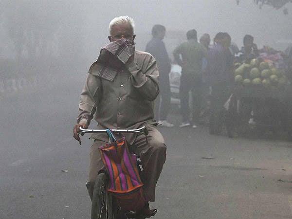 சூழலியல் குற்றங்களில் முதலிடம் வகிக்கும் மாநிலம் எது தெரியுமா? - அதிர்ச்சித் தகவல்!