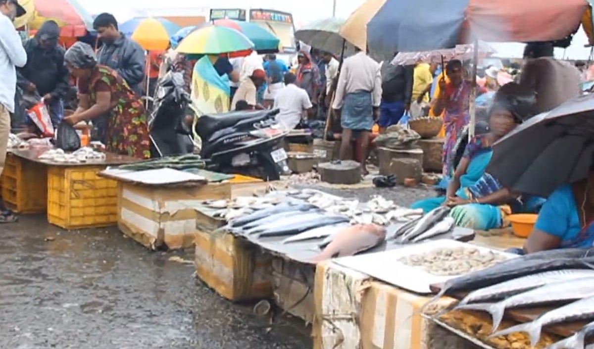 புரட்டாசி மாதம் நிறைவு... டல் அடித்த இறைச்சிக் கடைகளில் அலைமோதிய மக்கள் கூட்டம்... (ஆல்பம்)