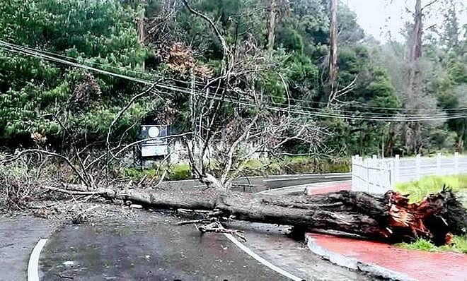 ’கொடைக்கானலுக்கு இப்போது செல்ல வேண்டாம்’ - சுற்றுலா பயணிகளுக்கு வனத்துறையினர் எச்சரிக்கை !