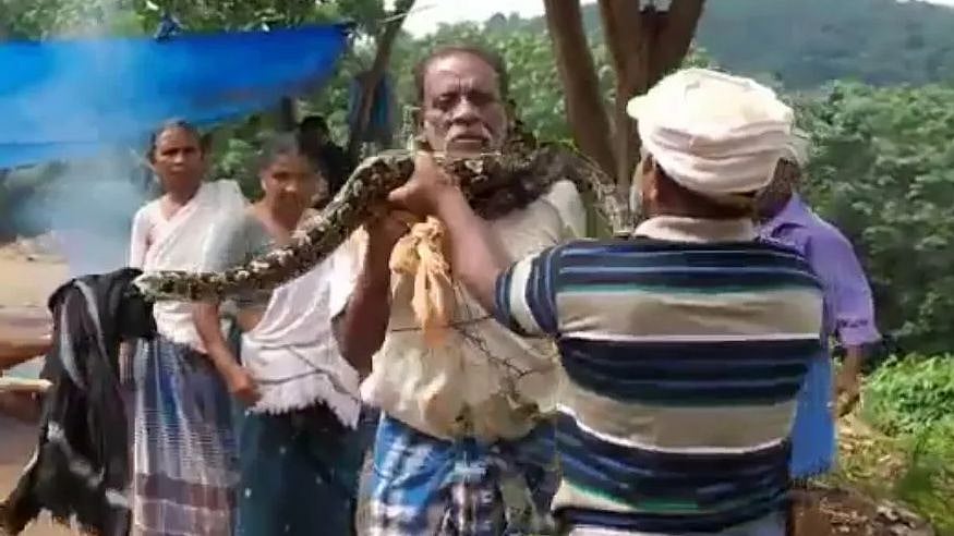 தொழிலாளியின் கழுத்தில் சுற்றிக்கொண்ட மலைப்பாம்பு...நெஞ்சைப் பதற வைக்கும் திக் திக் நிமிடங்கள்..!(VIDEO)