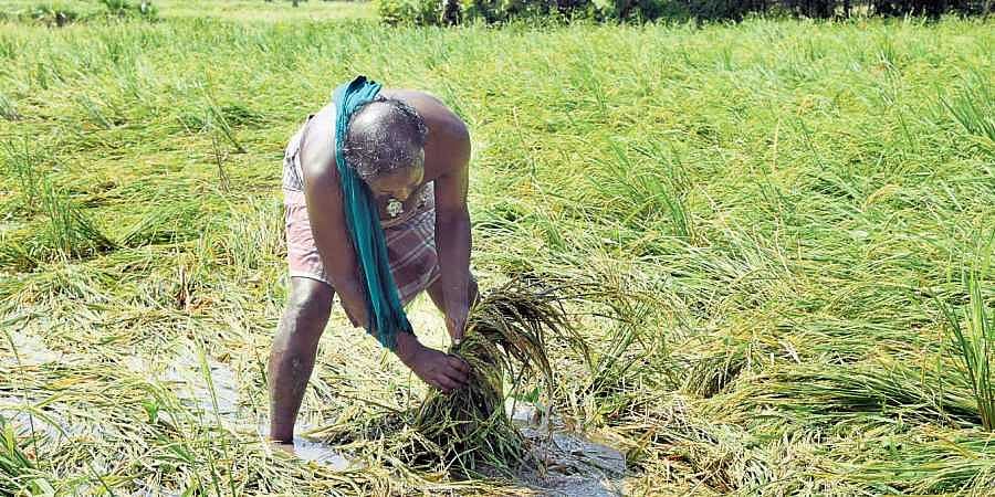 “விவசாயி என பெருமையாகப் பேசிக்கொண்டு, விவசாயிகளின் வயிற்றில் அடிக்கலாமா?”- எடப்பாடிக்கு கி.வீரமணி கேள்வி!