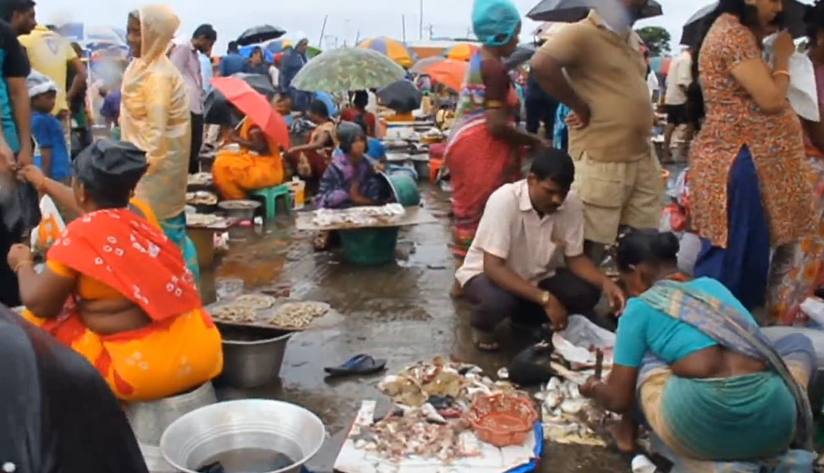 புரட்டாசி மாதம் நிறைவு... டல் அடித்த இறைச்சிக் கடைகளில் அலைமோதிய மக்கள் கூட்டம்... (ஆல்பம்)