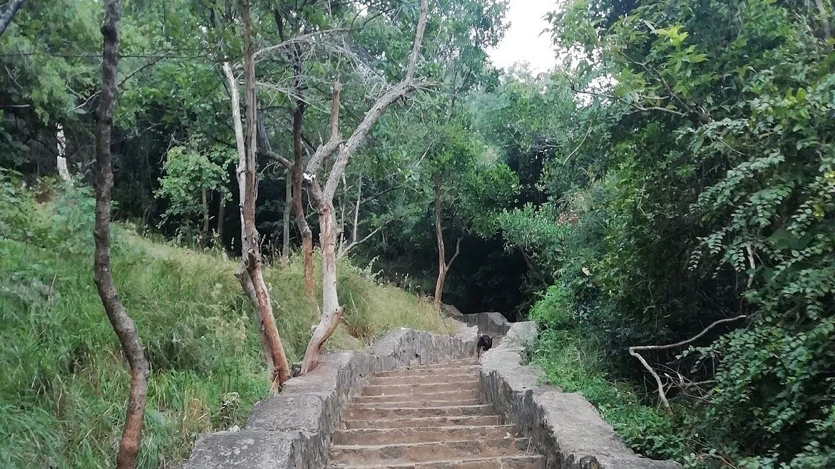 அழகர் கோயில் மலைப்பாதையில் சென்ற பெண்ணுக்கு நேர்ந்த கொடூரம் : போலிஸ் விசாரணையில் அதிர்ச்சித் தகவல்!