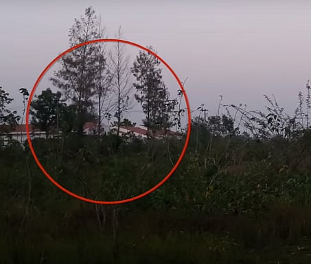 பையனூர் பங்களா