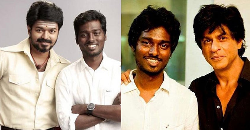 ஷாருக்கானை இயக்குகிறாரா அட்லீ? - பாலிவுட்டில் கசிந்த தகவல்!