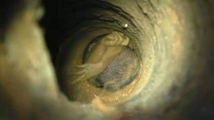 மகாராஷ்டராவில் 300 அடி ஆழ்துளை கிணற்றில் தவறி விழுந்த 6 வயது சிறுவன் உயிருடன் மீட்பு!