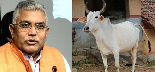 “நாட்டு மாட்டுப் பாலில் தங்கமா?’’ - பா.ஜ.க தலைவர் பேச்சால் பசுமாட்டுடன் அடகுக்கடைக்குச் சென்ற நபர்!