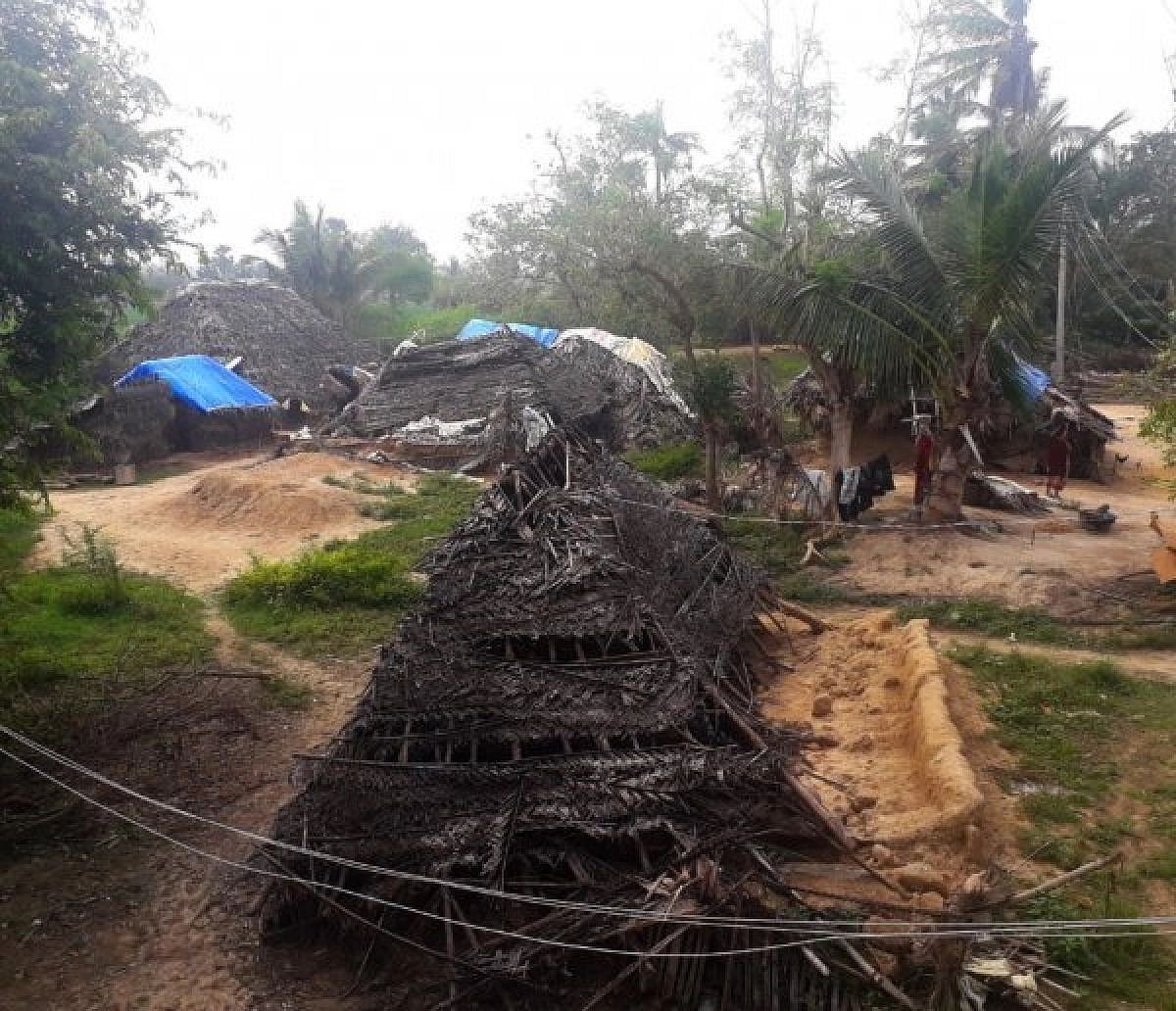 ஒரே நாளில் 12 மாவட்டங்களைச் சிதைத்த ‘கஜா’ - ஓராண்டாகியும் மீள வழியற்றுத் தவிக்கும் மக்கள்!