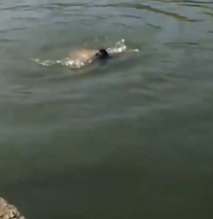 வார இறுதிநாளை வாழ்க்கையின் இறுதிநாளாக மாற்றிக்கொண்ட போதை நண்பர்கள் - கர்நாடகாவில் நடந்த பயங்கரம்!