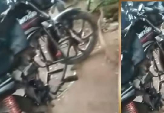 என்ஜினே இல்லாத பைக்குக்கு அபராதம் விதித்த கடலூர் எஸ்.ஐ - வீடியோ வெளியானதால் பரபரப்பு!