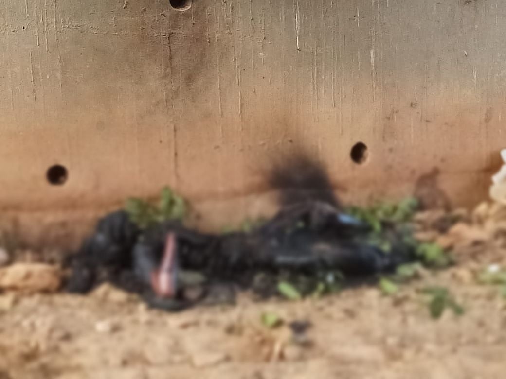 ”பயமாக இருக்கு” - போனில் பதற்றமாக பேசிய மருத்துவர் சில மணி நேரத்தில் சடலமாக மீட்கப்பட்ட கொடூரம்!