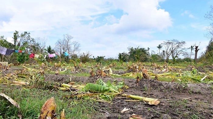 ஒரே நாளில் 12 மாவட்டங்களைச் சிதைத்த ‘கஜா’ - ஓராண்டாகியும் மீள வழியற்றுத் தவிக்கும் மக்கள்!