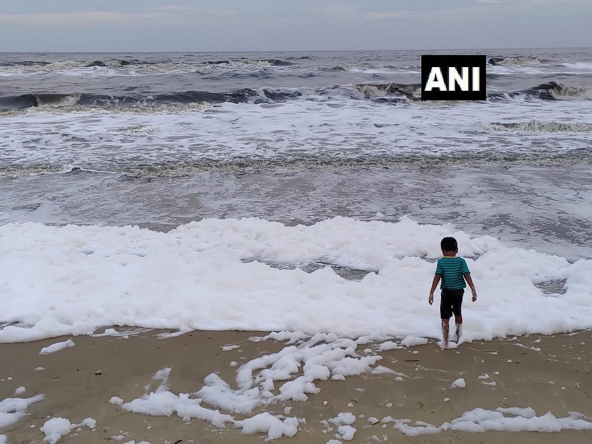 சென்னை மெரினா கடற்கரையில் மலைமலையாக ஒதுங்கும் நுரை... காரணம் என்ன?