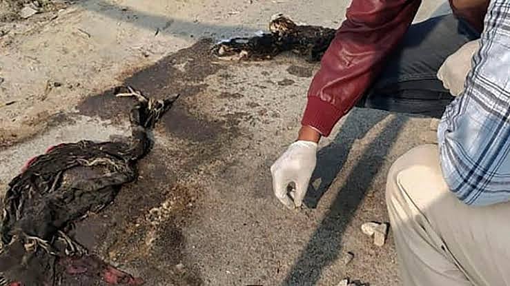 உயிரிழக்கும் தருவாயில் உன்னாவ் பெண் விரும்பியது என்ன தெரியுமா? - மனதை உலுக்கும் கதறல்!