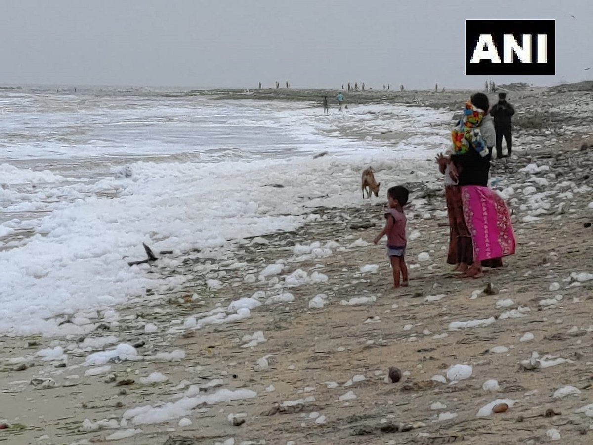 சென்னை மெரினா கடற்கரையில் மலைமலையாக ஒதுங்கும் நுரை... காரணம் என்ன?