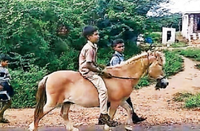 குதிரையில் பள்ளிக்கு செல்லும் மாணவர்கள்: ஏன்? அவர்கள் சொல்ல வருவது என்ன? - வியப்பளிக்கும் செய்தி