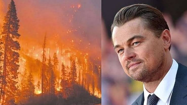 அமேசான் காட்டுக்கு தீ வைத்தாரா? - டைட்டானிக் நாயகனை குற்றம் சாட்டும் பிரேசில் அதிபர்.. மறுத்த டிகாப்ரியோ