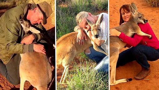 “காப்பாற்றிய மனிதர்கள் கட்டி அணைக்கும் கங்காரு”: ஆஸி., காட்டுத்தீயில் நெஞ்சை உலுக்கும் சம்பவம்!