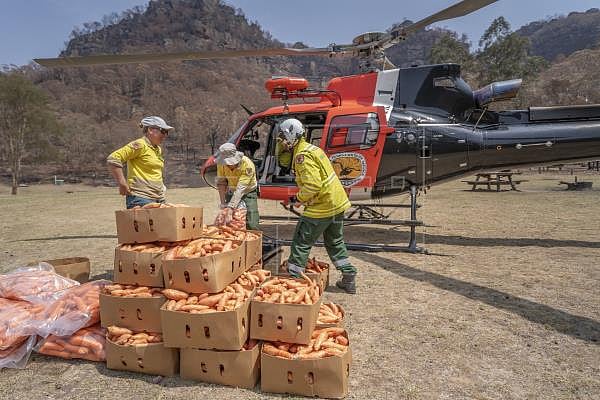 உணவளிக்கும் ஹெலிகாப்டர் : உயிர்ப்பிக்கும் ஆஸ்திரேலியா - சிதைந்த வனத்தை மீட்கப் போராடும் தன்னார்வலர்கள்!