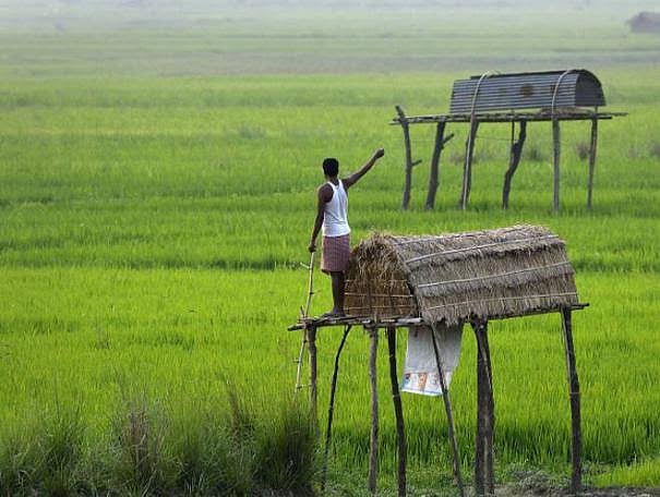 இந்தியாவில் விவசாயிகள் தற்கொலைகளின் பின்னணி என்ன..? - சாதியமும் நிலவுடைமை அதிகாரமும்!