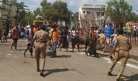 பாலமேடு ஜல்லிக்கட்டின் போது போலிஸ் தடியடி நடத்தியது ஏன்?