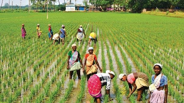 இந்தியாவில் விவசாயிகள் தற்கொலைகளின் பின்னணி என்ன..? - சாதியமும் நிலவுடைமை அதிகாரமும்!