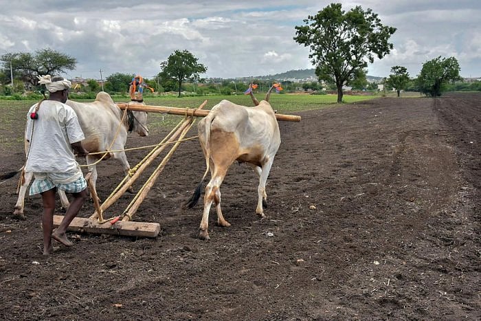 “மோடி அரசின் ‘கிசான்’ திட்டத்தில் 5.16 கோடி விவசாயிகளுக்கு தவணைத் தொகை வழங்கவில்லை” : RTI மூலம் அம்பலம்!
