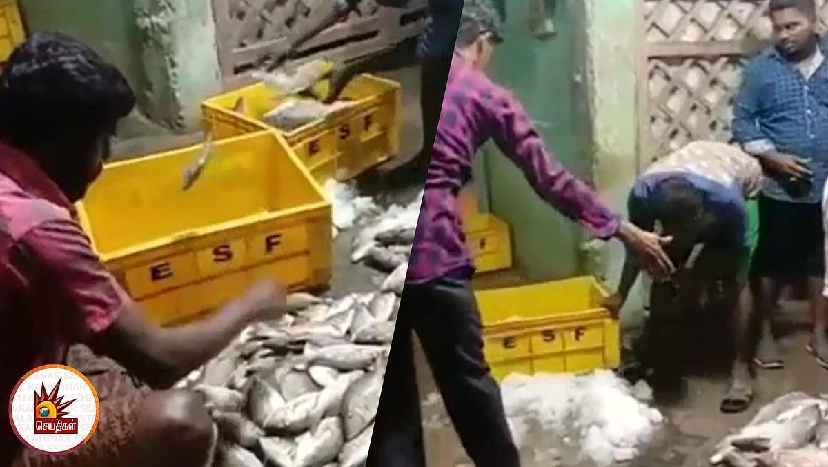 கரிமேடு சந்தையில் 2 டன் கலப்பட மீன்கள் பறிமுதல்: அதிர்ச்சியில் மதுரை மக்கள்- அலட்சியம் காட்டும் அமைச்சர்!