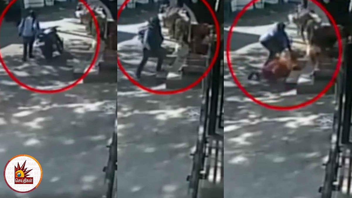 மிருகத்தனமாக மூதாட்டியை இழுத்த செயின் பறித்த கொள்ளையன் -  புழலில் பயங்கரம் (வீடியோ)