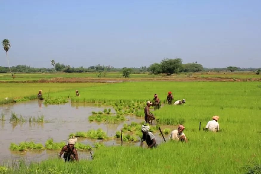 “வேளாண் மண்டலமாக அறிவிப்பது யார் செய்யவேண்டியது?” - விவசாயிகளை ஏமாற்றும் நாடகம் என மு.க.ஸ்டாலின் தாக்கு!