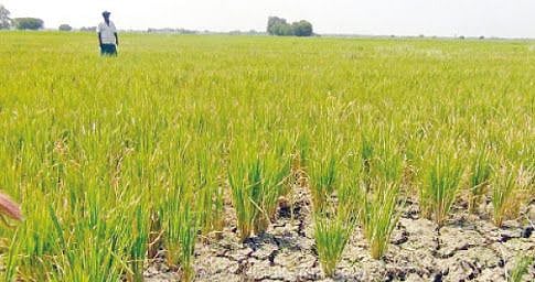 "அரியலூர் மாவட்டத்தை வேளாண் மண்டலத்தில் இணைக்க வேண்டும்” - தி.மு.க மாவட்ட செயலாளர் வலியுறுத்தல்!