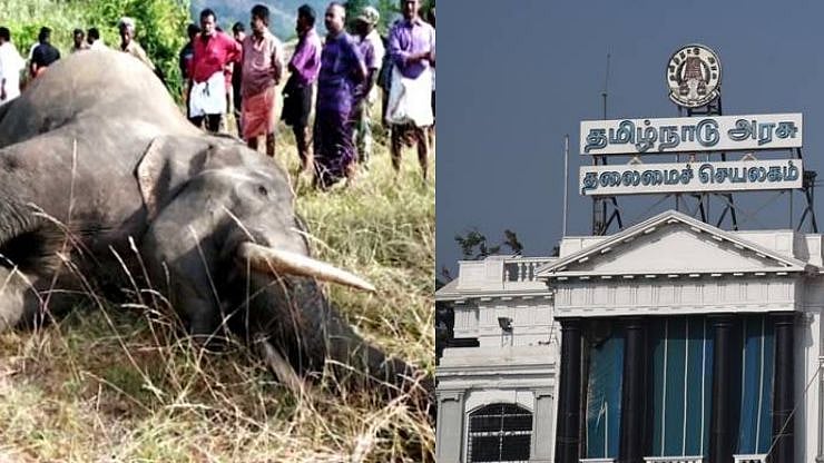 “தமிழகத்தில் 1,583 யானைகள் இறப்பு - வனப்பகுதியில் சமூக விரோதிகள் அட்டகாசமா?” : தி.மு.க எம்.எல்.ஏ ஆவேசம்!