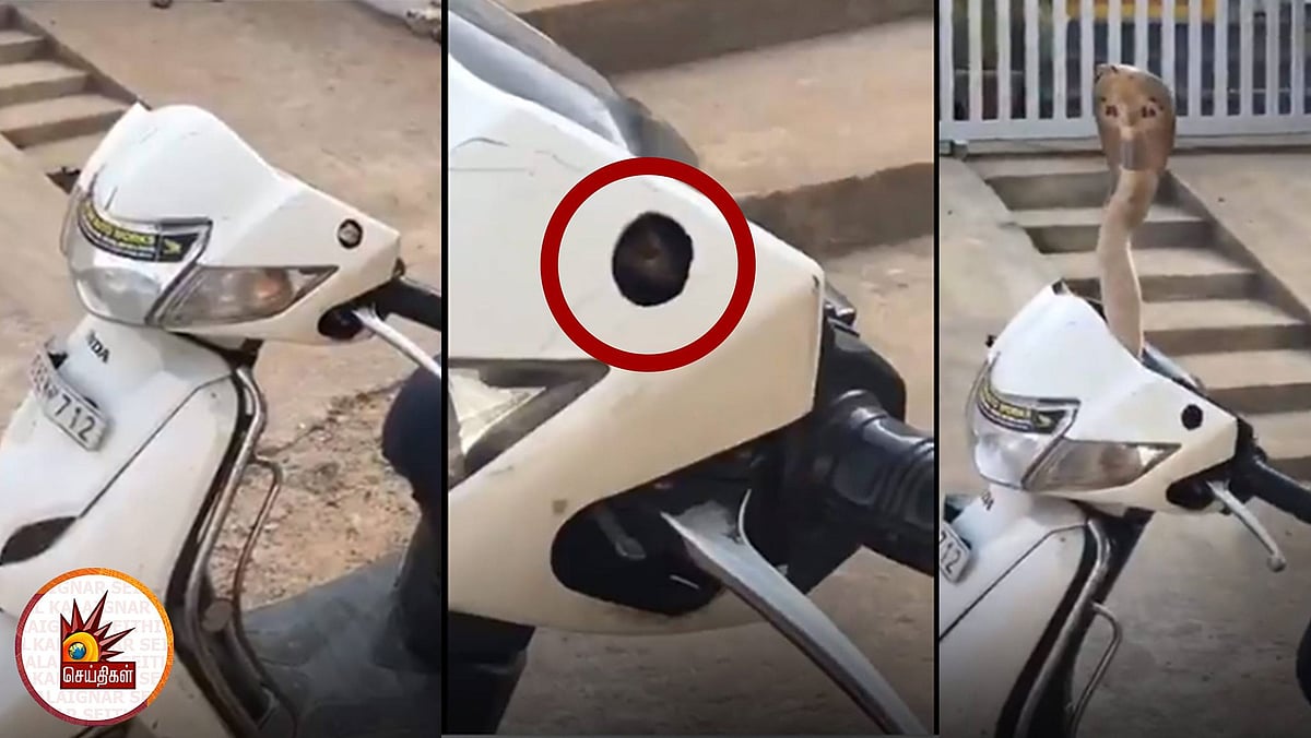 பார்க் செய்யப்பட்ட மோட்டார் பைக்கில் குடிபுகுந்த நல்ல பாம்பு - ஊரடங்குக்குப் பின் மக்களே.. உஷார்! (Video)