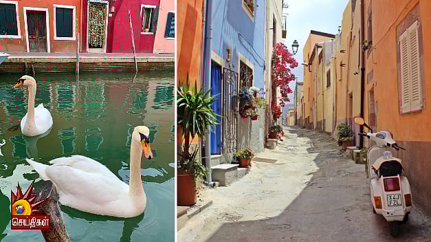 கொரோனாவால் ஏற்பட்ட ஒரே ஒரு நல்ல விஷயம்... இத்தாலி மக்கள் நிம்மதி!