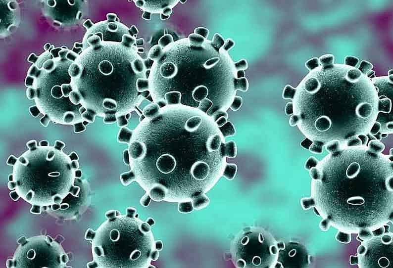 இந்தியாவில் கொரோனா பாதிப்பு: நொய்டாவில் பள்ளிகள் மூடல்.. சிறப்பு முகாம் அமைக்க ராணுவத்துக்கு ஆணை!