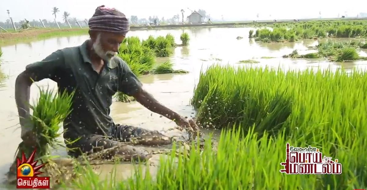 கலைஞர் செய்திகள் ஆவணப்படம் எதிரொலி : திருவாரூரில் தோண்டப்பட்ட ONGC குழி மூடப்பட்டது - விவசாயி மகிழ்ச்சி!