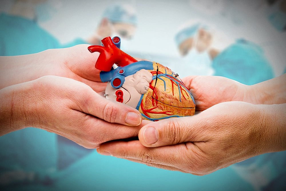 விபத்தில் மூளைச்சாவு அடைந்த இளம் பேராசிரியை - உடல் உறுப்பு தானம் மூலம் 7 பேருக்கு மறுவாழ்வு!