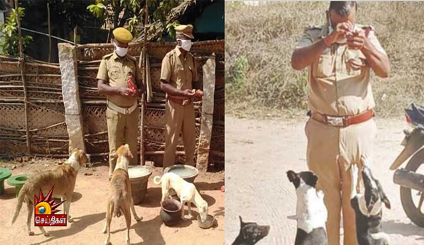 “அடித்து விரட்டும் போலிஸாருக்கு மத்தியில், தெருநாய்களின் பசியைப் போக்கும் போலிஸ்” : நெகிழ்ச்சி சம்பவம்!