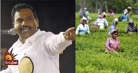 “பணிக்கு வந்தால்தான் சம்பளம்” : தேயிலைத் தோட்டத் தொழிலாளர்களை மிரட்டுவதா? -  அரசுக்கு ஆ.ராசா கண்டனம்!