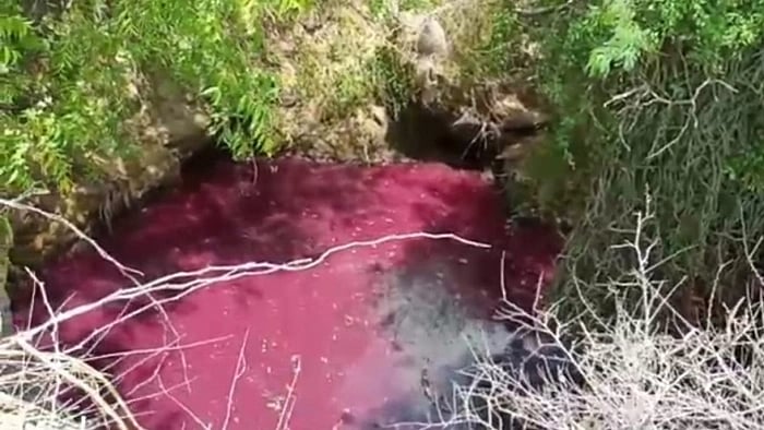 விவசாயக் கிணறுகளில் சாயக்கழிவுகளை கலந்த விஷமிகள் - ஊரடங்கின்போது விவசாயிகளுக்கு நேர்ந்த கொடுமை!