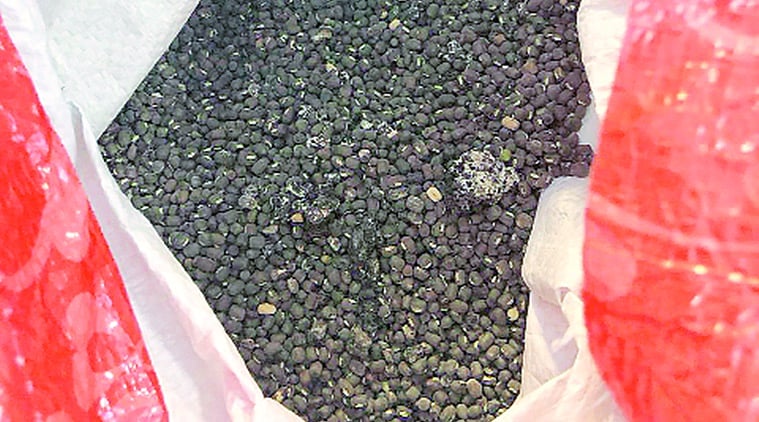 “சாப்பிட லாயக்கற்ற உளுத்துப்போன உளுந்தை அனுப்பிய மோடி அரசு” : கடுப்பில் திருப்பி அனுப்பிய பஞ்சாப் அரசு!